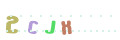 CAPTCHA 1