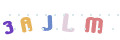 CAPTCHA 1