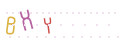 CAPTCHA 1