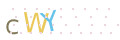CAPTCHA 1