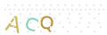 CAPTCHA 1