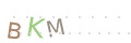 CAPTCHA 1