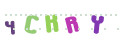CAPTCHA 1