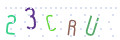 CAPTCHA 2