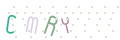 CAPTCHA 2