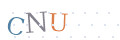 CAPTCHA 2