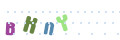 CAPTCHA 2