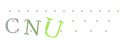 CAPTCHA 2