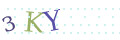 CAPTCHA 2