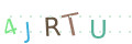 CAPTCHA 2