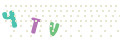 CAPTCHA 2