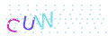 CAPTCHA 2