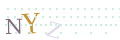 CAPTCHA 2