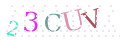 CAPTCHA 2