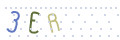 CAPTCHA 2