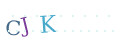 CAPTCHA 2