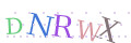 CAPTCHA 3