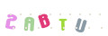 CAPTCHA 3