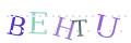 CAPTCHA 3
