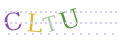 CAPTCHA 3