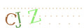 CAPTCHA 3