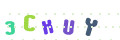 CAPTCHA 4