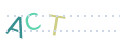 CAPTCHA 4