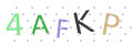 CAPTCHA 4
