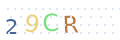 CAPTCHA 4