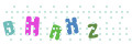 CAPTCHA 4