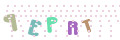 CAPTCHA 4