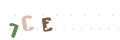 CAPTCHA 4