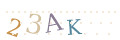 CAPTCHA 4