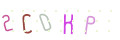 CAPTCHA 4