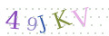 CAPTCHA 4
