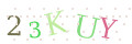CAPTCHA 4