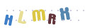 CAPTCHA 4