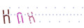 CAPTCHA 5