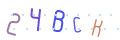 CAPTCHA 5